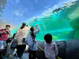 天王寺動物園に投稿された画像（2024/2/18）