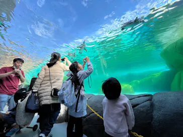 天王寺動物園に投稿された画像（2024/2/18）