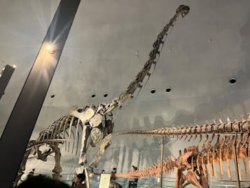 福井県立恐竜博物館に投稿された画像（2024/2/18）
