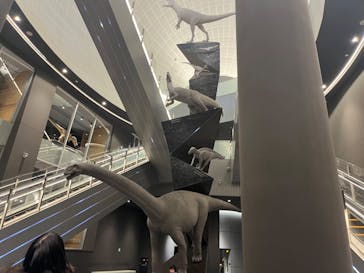 福井県立恐竜博物館に投稿された画像（2024/2/18）