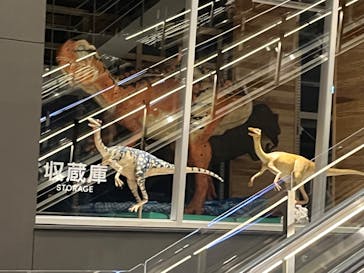福井県立恐竜博物館に投稿された画像（2024/2/18）