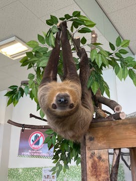 Moff animal world BIGHOPガーデンモール印西店に投稿された画像（2024/2/18）