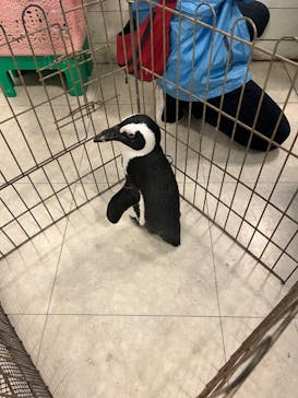 Moff animal world BIGHOPガーデンモール印西店に投稿された画像（2024/2/18）