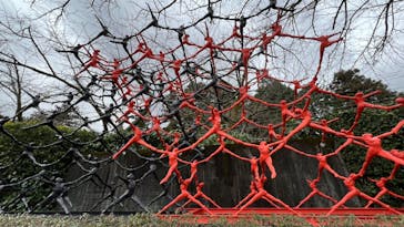 彫刻の森美術館に投稿された画像（2024/2/18）