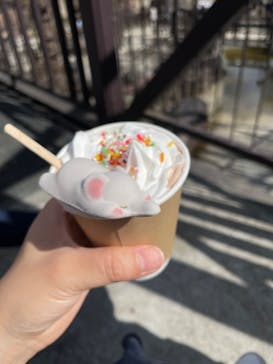 ANIMAL WONDER REZOURT 市原ぞうの国・サユリワールドに投稿された画像（2024/2/18）