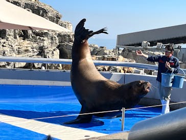 大分マリーンパレス水族館 「うみたまご」に投稿された画像（2024/2/18）