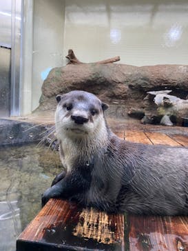 仙台うみの杜水族館に投稿された画像（2024/2/18）