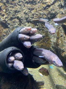 仙台うみの杜水族館に投稿された画像（2024/2/18）