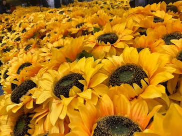 ゴッホ・アライブに投稿された画像（2024/2/18）