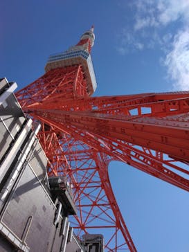 東京タワーに投稿された画像（2024/2/18）