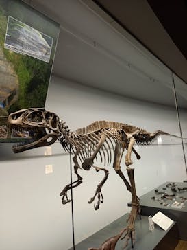 福井県立恐竜博物館に投稿された画像（2024/2/18）
