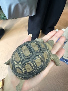 いきもの探検隊上尾に投稿された画像（2024/2/18）