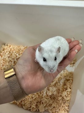 いきもの探検隊上尾に投稿された画像（2024/2/18）