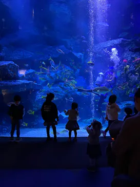 すみだ水族館に投稿された画像（2024/2/18）