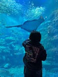 新江ノ島水族館に投稿された画像（2024/2/18）