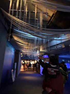 新江ノ島水族館に投稿された画像（2024/2/18）