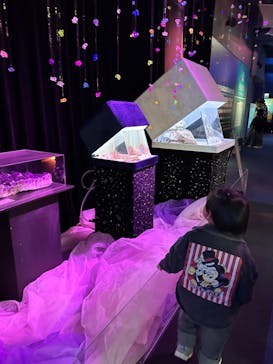 新江ノ島水族館に投稿された画像（2024/2/18）