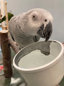 Moff アニマル カフェ イーアス 高尾店に投稿された画像（2024/2/18）