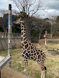 千葉市動物公園に投稿された画像（2024/2/18）