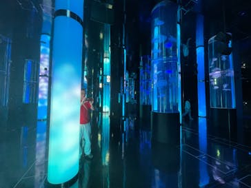 DMMかりゆし水族館に投稿された画像（2024/2/18）