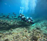 沖縄マリンサービス碧に投稿された画像（2024/2/18）