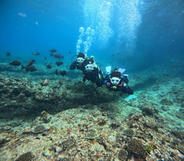 沖縄マリンサービス碧に投稿された画像（2024/2/18）