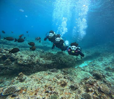 沖縄マリンサービス碧に投稿された画像（2024/2/18）