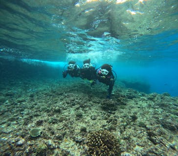 沖縄マリンサービス碧に投稿された画像（2024/2/18）