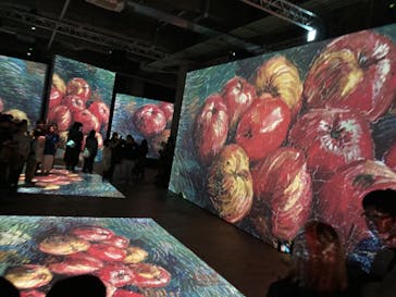 ゴッホ・アライブに投稿された画像（2024/2/18）