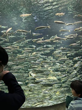サンシャイン水族館に投稿された画像（2024/2/18）