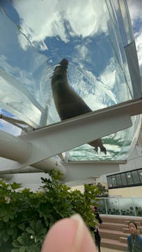 サンシャイン水族館に投稿された画像（2024/2/18）