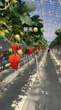 株式会社こまち野に投稿された画像（2024/2/18）