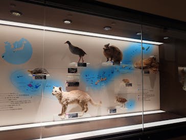 国立科学博物館に投稿された画像（2024/2/18）