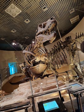 国立科学博物館に投稿された画像（2024/2/18）