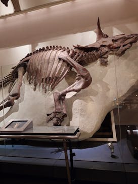 国立科学博物館に投稿された画像（2024/2/18）