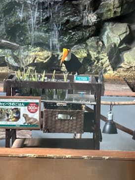 カワスイ 川崎⽔族館に投稿された画像（2024/2/18）