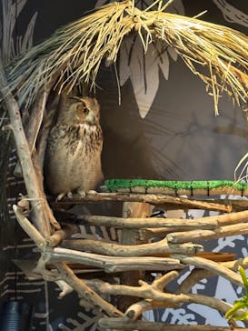 カワスイ 川崎⽔族館に投稿された画像（2024/2/18）