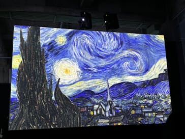 ゴッホ・アライブに投稿された画像（2024/2/18）