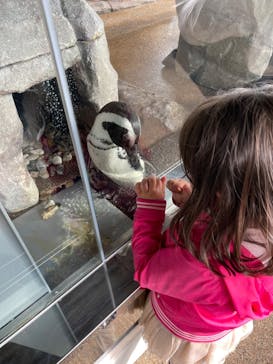 京都水族館に投稿された画像（2024/2/18）