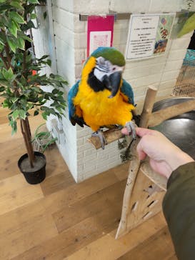 いきもの探検隊湘南に投稿された画像（2024/2/18）