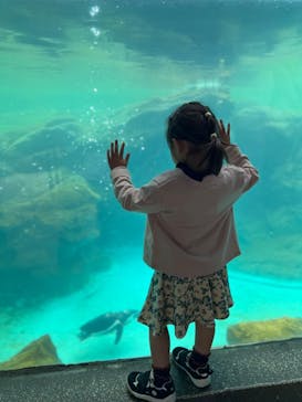 よこはま動物園ズーラシアに投稿された画像（2024/2/18）