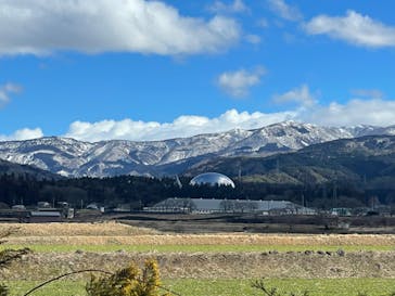 福井県立恐竜博物館に投稿された画像（2024/2/18）