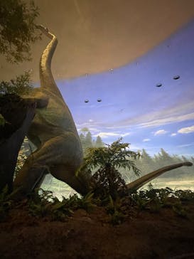 福井県立恐竜博物館に投稿された画像（2024/2/18）