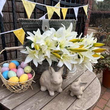 横浜イングリッシュガーデンに投稿された画像（2024/2/18）