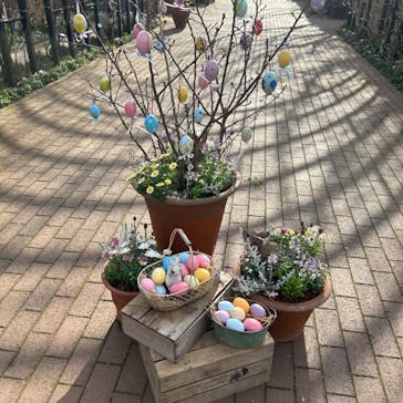 横浜イングリッシュガーデンに投稿された画像（2024/2/18）