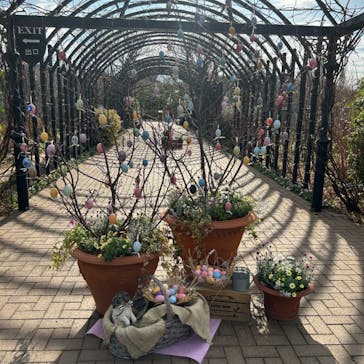 横浜イングリッシュガーデンに投稿された画像（2024/2/18）