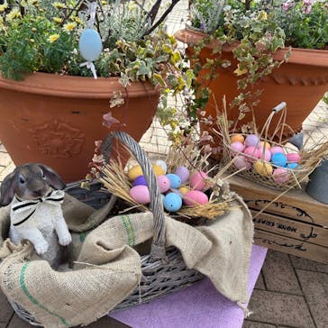 横浜イングリッシュガーデンに投稿された画像（2024/2/18）