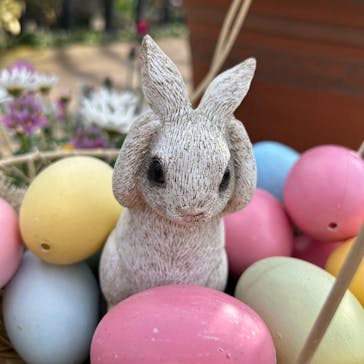 横浜イングリッシュガーデンに投稿された画像（2024/2/18）