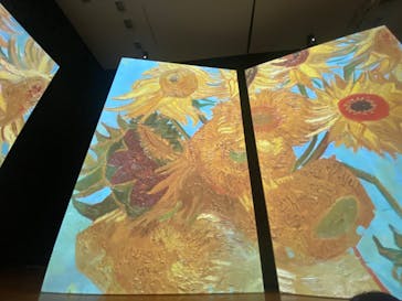 ゴッホ・アライブ神戸に投稿された画像（2023/5/2）