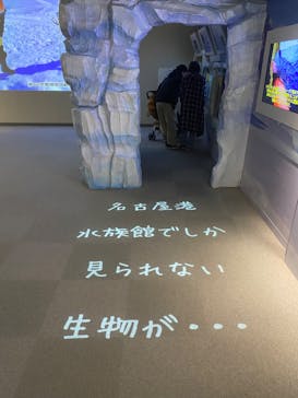 名古屋港水族館に投稿された画像（2023/10/26）